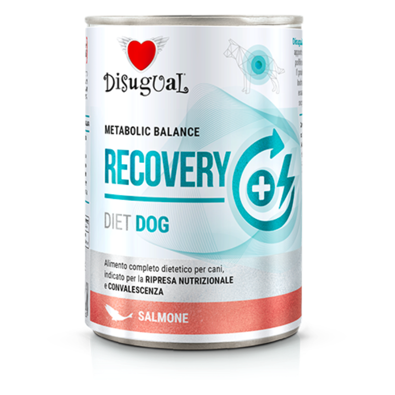 DISUGUAL LATA PERRO DIETA RECUPERACION SALMON 400 GR