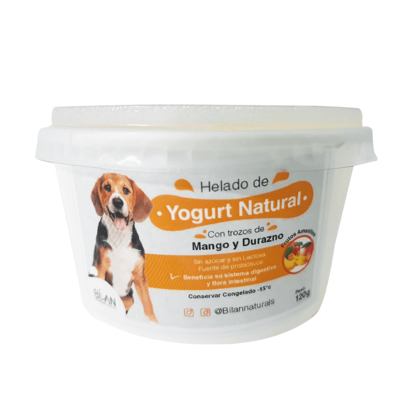 HELADO YOGURT FRUTOS AMARILLOS 120G