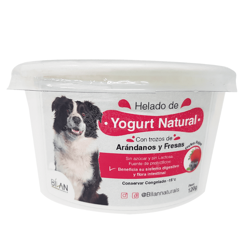 HELADO YOGURT FRUTOS ROJOS 120G