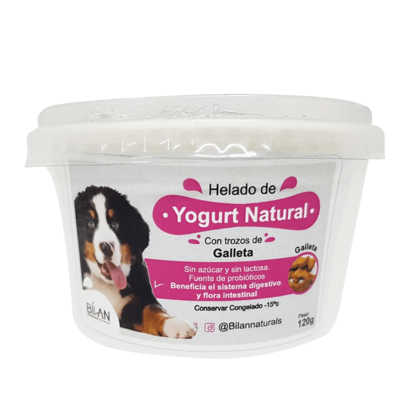 HELADO YOGURT GALLETA 120G
